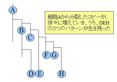 生物の経路